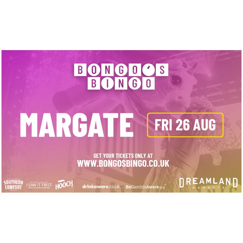 Bongo Bingo What's On